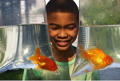 《命运2》萨瓦拉获新配音：曾参与《质量效应》《光环》